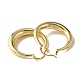 Brass Hoop Earrings for Woman EJEW-F314-01G-2