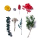 Сушеные цветы DIY-D052-21-2