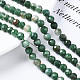 Natural Emerald Quartz Beads Strands G-T108-63-4