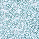 Perles rocailles en verre opaque mat X-SEED-S042-06A-03-3