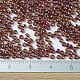 Perles rocailles miyuki rondes SEED-X0054-RR2461-4