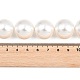 Shell-Perle Perle Stränge&nbsp;BSHE-H001-06-4