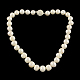 Elegante perla collane di perline rotondo NJEW-Q282-18-1