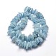 Chapelets de perles de puces aigue-marine naturelles X-G-E271-67-2