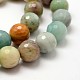 Faceted Round Natural Flower Amazonite Beads Strands G-K074-F12mm-3