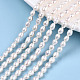 Natural Cultured Freshwater Pearl Beads Strands PEAR-S017-002-2