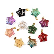 Подвески lampwork GLAA-T023-06A