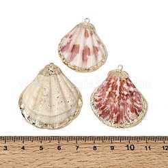 Anhänger aus Messing und natürlichen Muscheln&nbsp;SH-CBA27C9-10