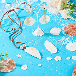 14шт 7 стиля подвески из натуральных пресноводных ракушек&nbsp;SHEL-TA0001-24