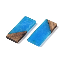 Подвески из смолы и дерева&nbsp;WOOD-F015-09C