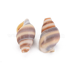 Perles de coquillage en spirale naturelle&nbsp;SSHEL-T014-46