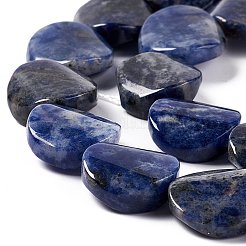 Perline sodalite naturale fili&nbsp;G-O120-14