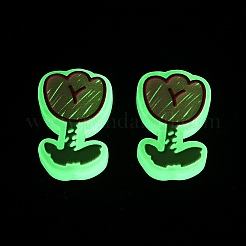 Cuentas de esmalte de resina luminiscente&nbsp;RE-CBAC4C7-12B