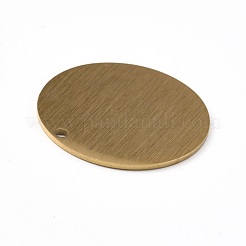 Pendentifs en acier inoxydable 304 avec placage ionique (IP)&nbsp;STAS-F271-02E-G