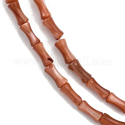 Naturali di acqua dolce perline shell fili&nbsp;SHEL-G013-01A