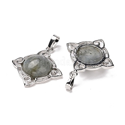 Природные подвески лабрадорита&nbsp;G-M385-06P-B