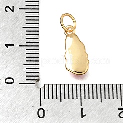 Colgantes de esmalte de latón&nbsp;KK-G605-12G-01