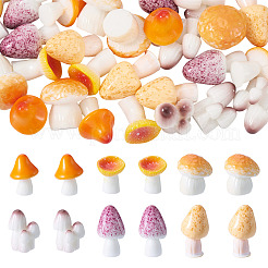 30 шт. 6 стиля серии грибов смоляные украшения для витрины&nbsp;DJEW-TA0001-21