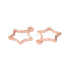 Breloques en acier inoxydable 304&nbsp;STAS-P227-21RG