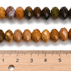 Океан Природный яшмы бисер нитей&nbsp;G-C259-A14-6x10mm