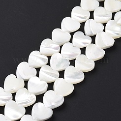 Нити бусин из натуральной ракушки трохус&nbsp;SSHEL-H070-06C