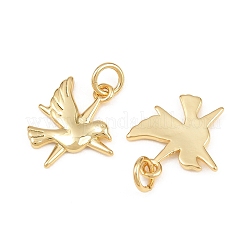 Pendentifs en laiton&nbsp;KK-L275-58G-01