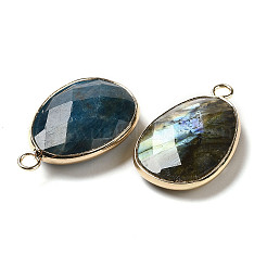 Подвески с огранкой из натуральных смешанных драгоценных камней&nbsp;G-K354-03KCG