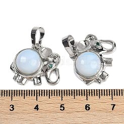 Opalite подвески&nbsp;G-I374-A-P21