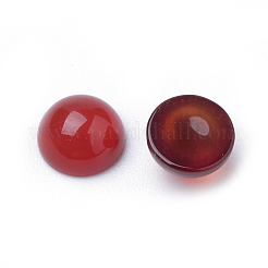 Natürlichen Karneol cabochons&nbsp;X-G-R416-6mm-56