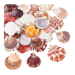 32шт. подвеска из натуральной ракушки в 4 стилях&nbsp;PALLOY-PH01861