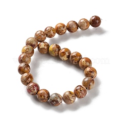 Нити бусин из окрашенного натурального регалита/императорской яшмы/морского осадка яшмы&nbsp;G-B124-C01-02