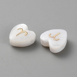 5шт натуральные белые бусины из ракушек BSHE-TAC0004-02C