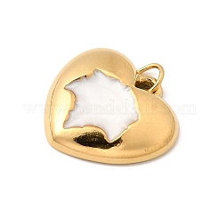 Подвески из нержавеющей стали 304 с эмалью&nbsp;STAS-B093-03G-01