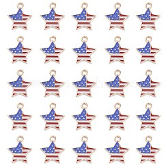 50шт День независимости светлые позолоченные подвески из сплава с эмалью&nbsp;ENAM-LS0001-08LG