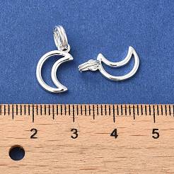 Breloques en laiton&nbsp;LS-KK-G364-09S