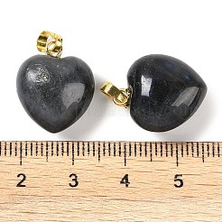 Natur Labradorit Anhänger&nbsp;G-J386-H15-G