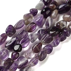 Природный аметист нитей бисера&nbsp;G-C268-A05-8x10mm