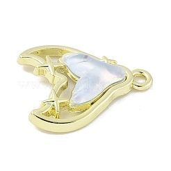 Подвески из цинкового сплава&nbsp;FIND-C067-01A-G