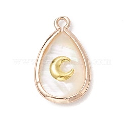 3 шт. 3 стиля подвески-слезинки из натуральной ракушки пауа&nbsp;PALLOY-JF03762