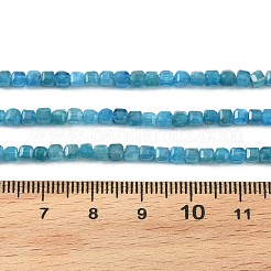 Natürliche Apatit Perlen Stränge&nbsp;G-K376-D05-3x3mm