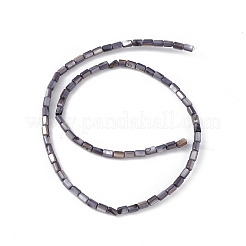 Fili di perline tinti in conchiglia naturale d'acqua dolce&nbsp;SHEL-M018-12-03