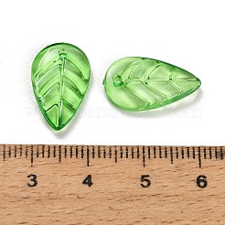 Transparenten Acryl-Anhänger&nbsp;AC-CBA5040-01G