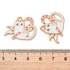 Подвески из сплава хэллоуина с эмалью ENAM-Z022-02G