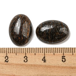 Cabochon naturali in bronzite&nbsp;G-C115-01A-21