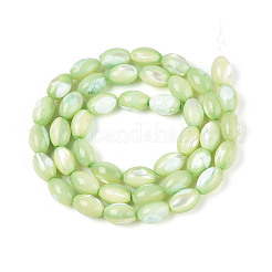 Fili di perline di conchiglia trochus naturale&nbsp;X-SHEL-K006-19-01C
