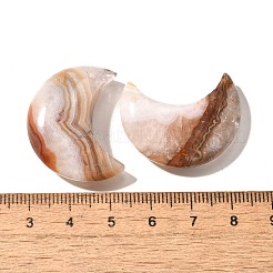 Natürliche Amethyst-Spitzenachat-Anhänger&nbsp;G-A244-08C