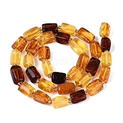 Perles d'ambre naturel brins&nbsp;G-N371-23A-01