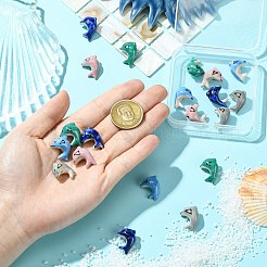 20шт 5 цвета фарфоровые бусины ручной работы&nbsp;PORC-CJ0001-14