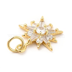 Porte micro ouvrent pendentifs zircone cubique en laiton de placage&nbsp;KK-K270-18G