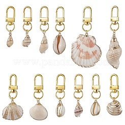 Гальванические подвесные украшения в виде ракушек&nbsp;HJEW-JM03070